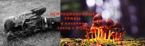 первитин Армянск