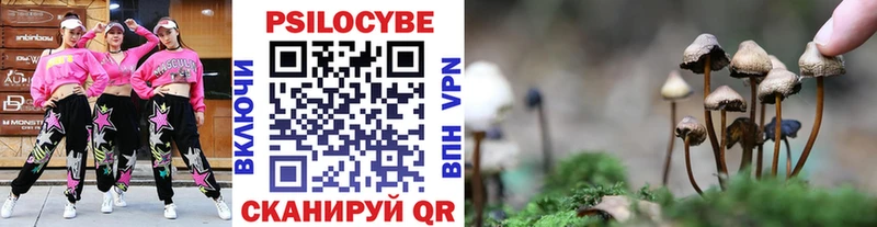 наркошоп  Приволжск  Галлюциногенные грибы MAGIC MUSHROOMS 